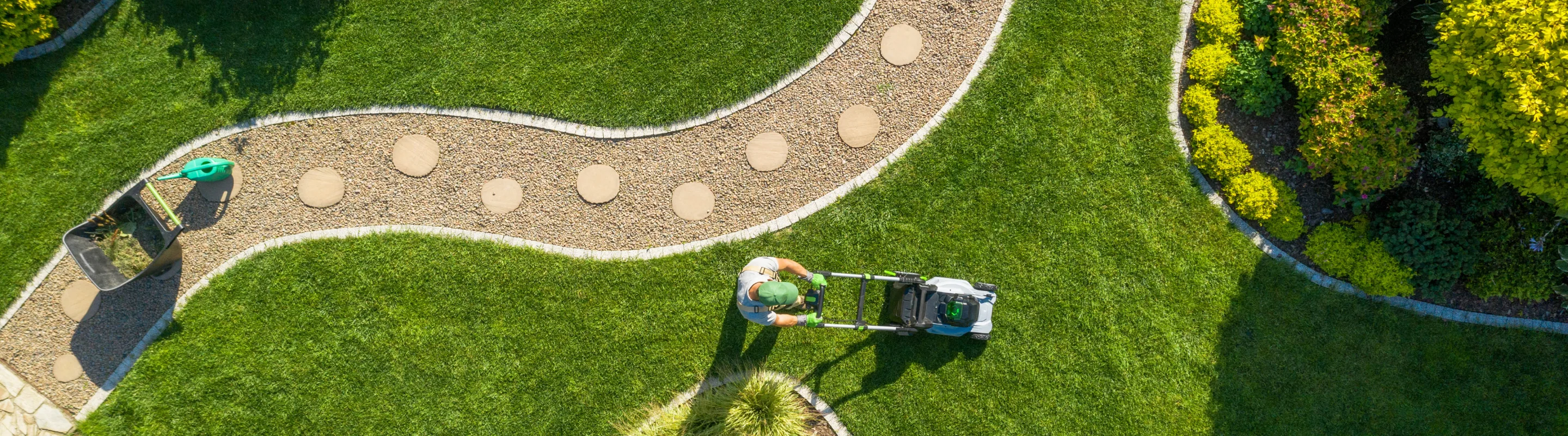 A healthy Charlotte lawn maintained by Vista Green