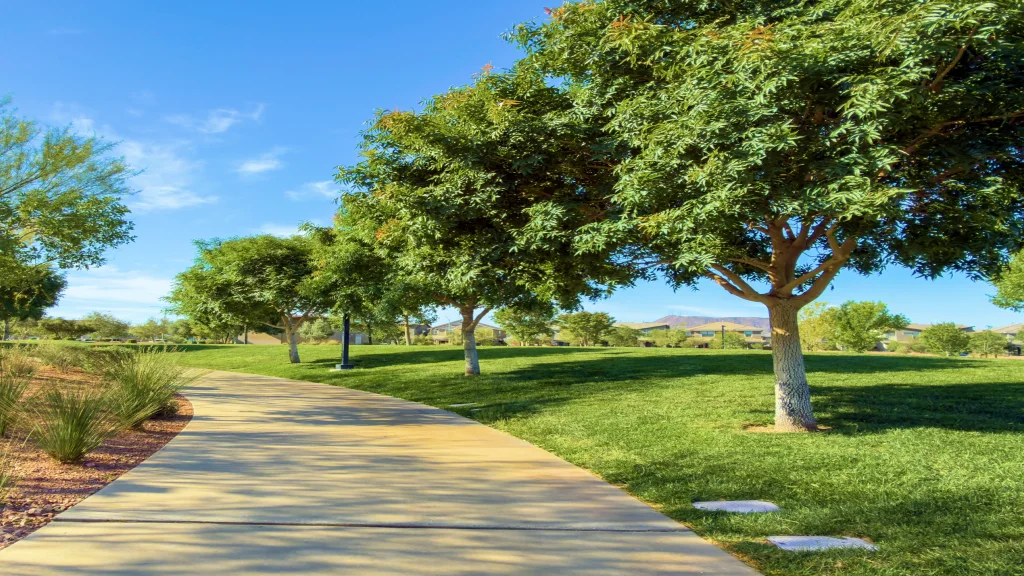 A landscaped community park with a curved walking path and mature trees