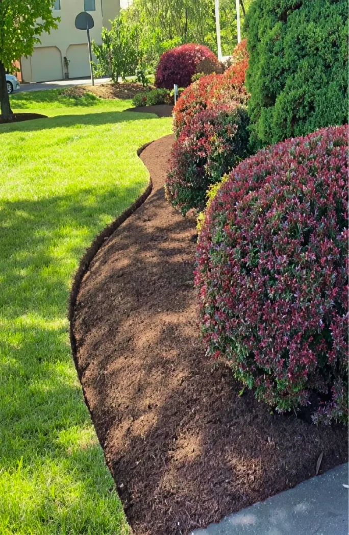 A landscaped residential outdoor space completed by Vista Green