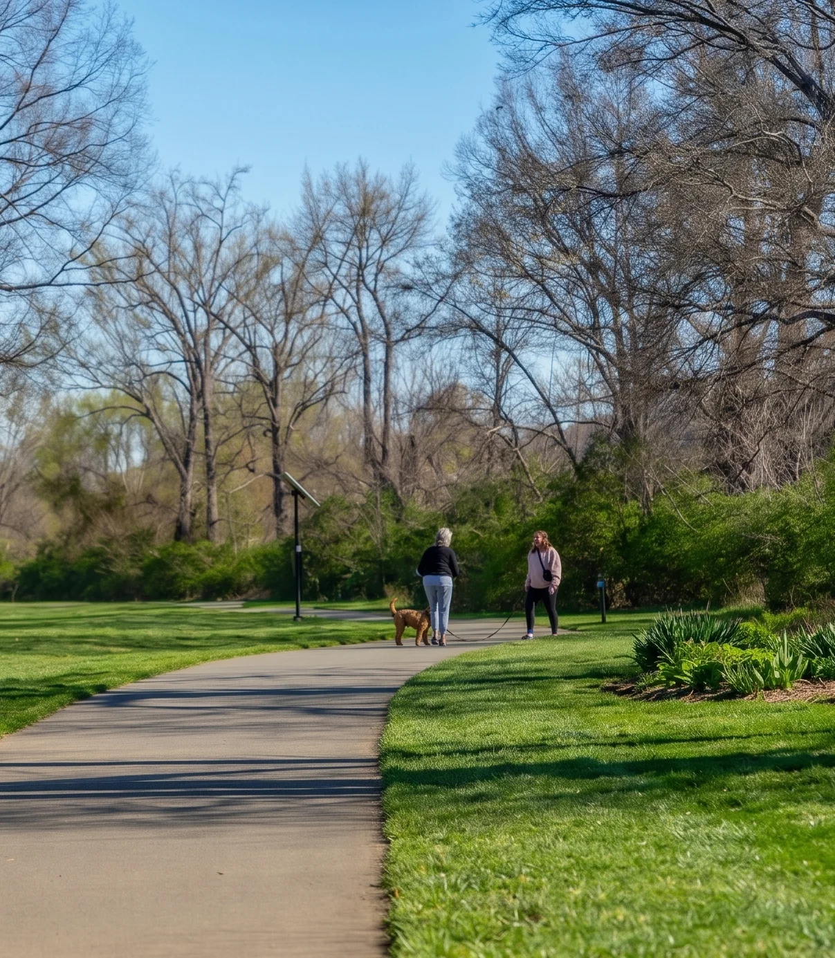 Two people walking a dog along a landscaped path in Cotswold