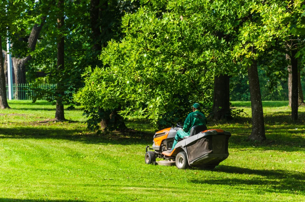A freshly mowed lawn and landscaped garden bed