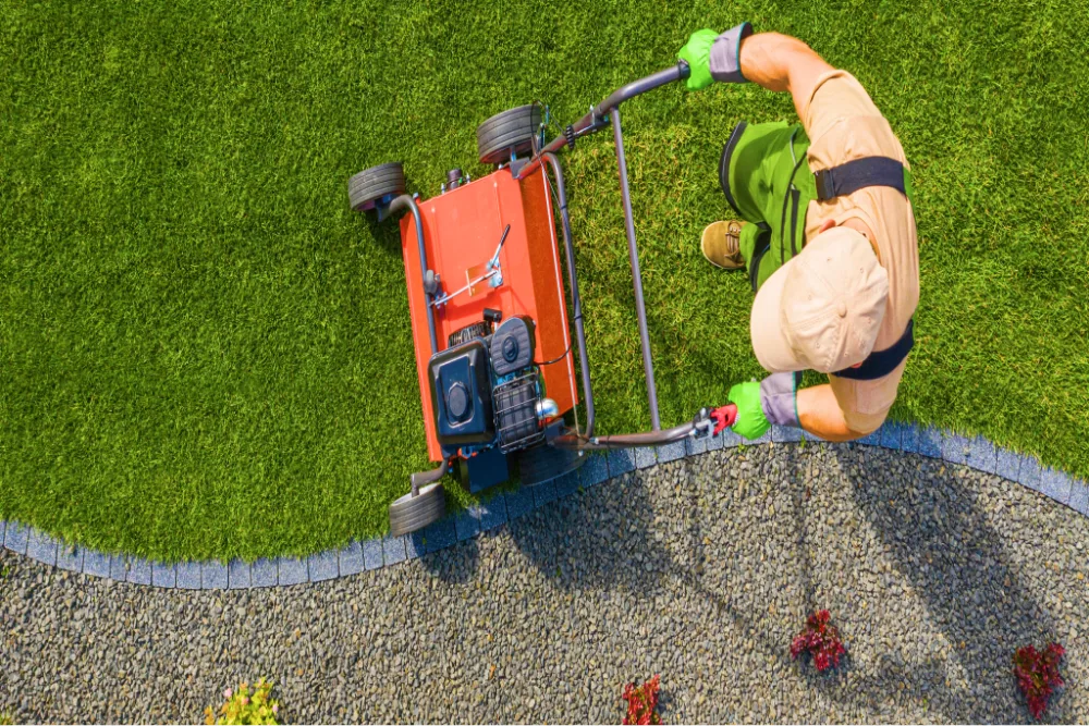 A lawn care professional aerating a green lawn