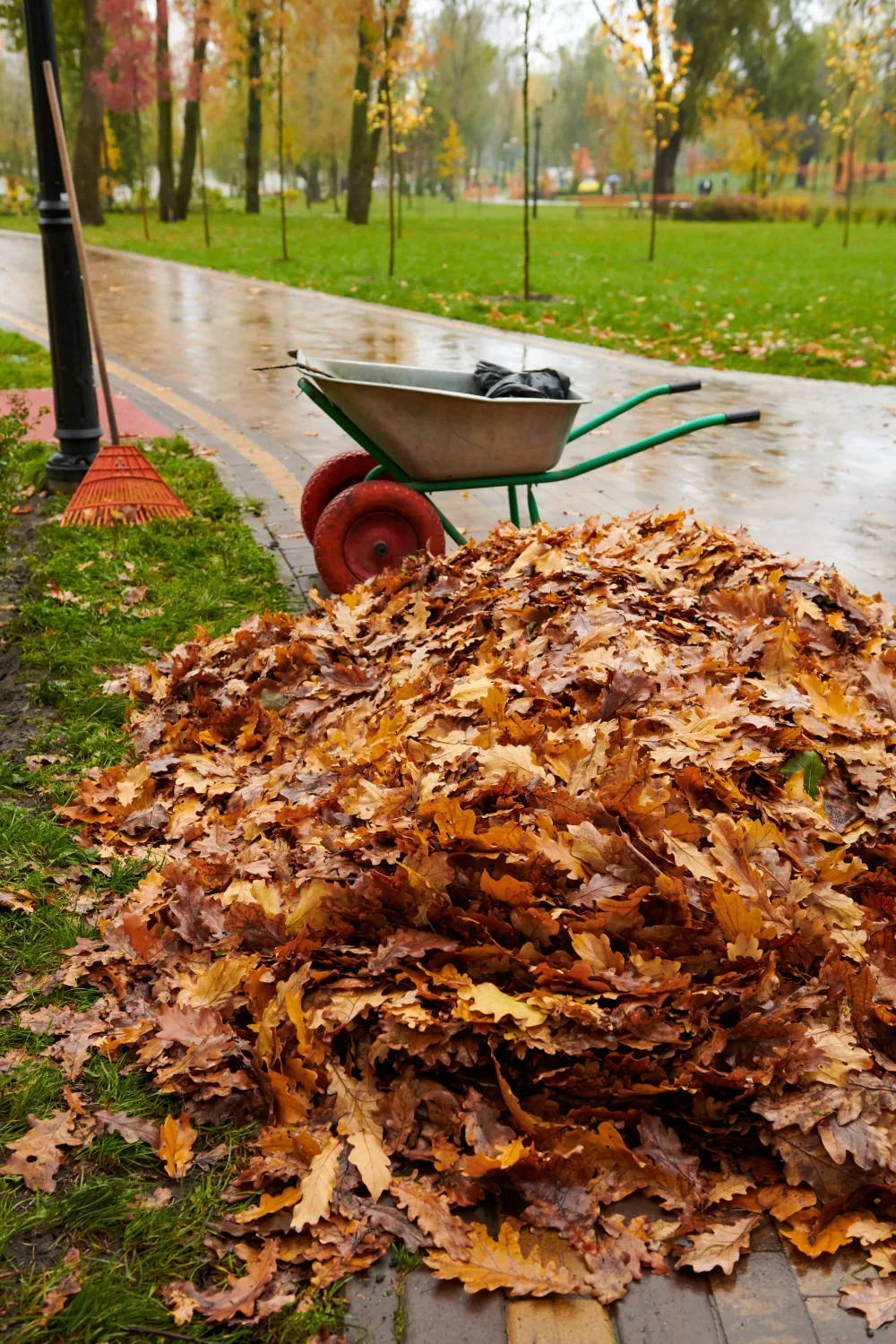 Seasonal cleanup of leaves from a landscaped property