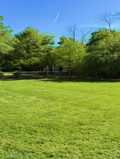 Vista Green lawn care work